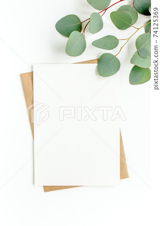 Mockup invitation, blank greeting card and green leaves eucalyptus. Flat lay, top view. Mockup invitation, blank greeting card and green leaves eucalyptus. Flat lay, top view. 74125369