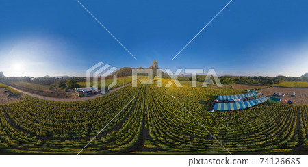 360 panorama by 180 degrees angle seamless panorama of aerial view of full bloom sunflower field with mountain in travel holidays vacation trip at natural garden park in summer in Lopburi, Thailand. 360 panorama by 180 degrees angle seamless panorama of aerial view of full bloom sunflower field with mountain in travel holidays vacation trip at natural garden park in summer in Lopburi, Thailand. 74126685