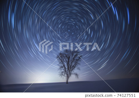 冬天哲學樹 74127551