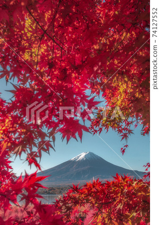 Fuji of autumn leaves 74127552