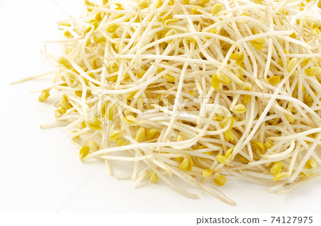Bean sprouts 74127975