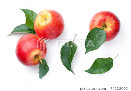 Fresh Red Apples With Green Leaves Isolated Fresh Red Apples With Green Leaves Isolated 74128002
