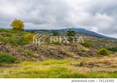 Mount Etna volcanic landscape and its typical summer vegetation Mount Etna volcanic landscape and its typical summer vegetation 74128360