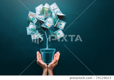 Hands holding money tree made by us dollar bills. Business, saving, growth, economic concept Hands holding money tree made by us dollar bills. Business, saving, growth, economic concept 74129023