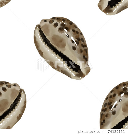 Pattern seashell on background. high quality watercolor illustration. marine design Pattern seashell on background. high quality watercolor illustration. marine design 74129131
