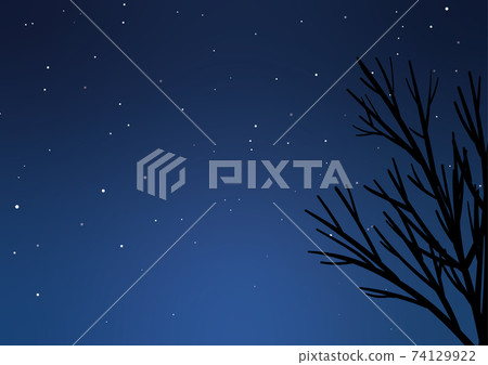Starry sky and dead trees Starry sky and dead trees 74129922