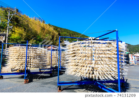 Dried squid in Izuhara Town [Tsushima City, Nagasaki Prefecture] 74131209