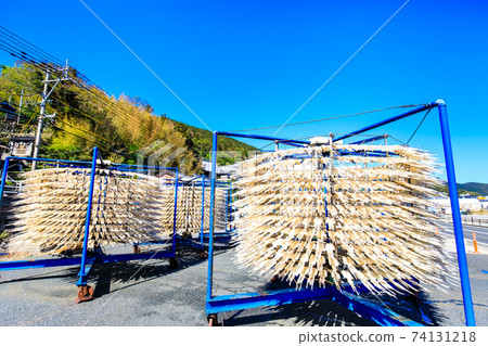伊豆原町的魷魚乾[長崎縣津島市] 74131218