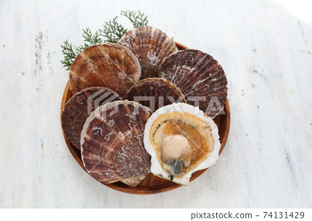 Hokkaido three-year-old scallop Hokkaido three-year-old scallop 74131429