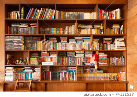 various kinds of book in wooden shelf with collection of toy figures 74131537