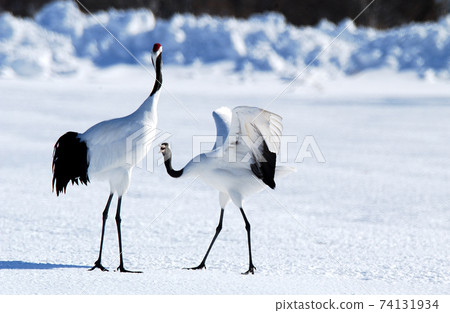 北海道冬季起重機 北海道冬季起重機 74131934
