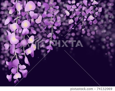 Wisteria flower background illustration Wisteria flower background illustration 74132069