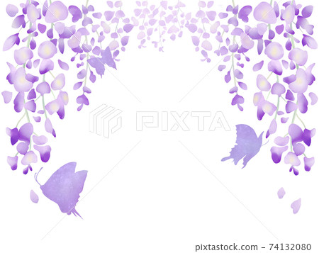 紫藤花和蝴蝶水彩背景 插圖素材 圖庫