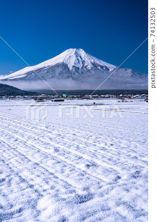 《山梨縣》富士山的雪原和忍野村在新鮮的雪中 《山梨縣》富士山的雪原和忍野村在新鮮的雪中 74132503