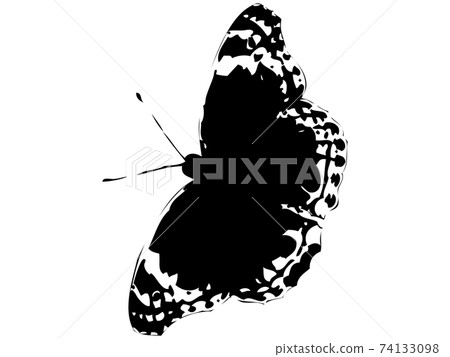 蝴蝶silhouette_35 蝴蝶silhouette_35 74133098