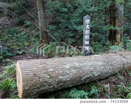 杉林bay太郎路 74133099