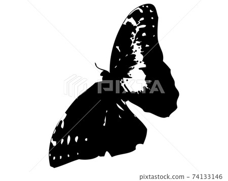 蝴蝶silhouette_1 74133146