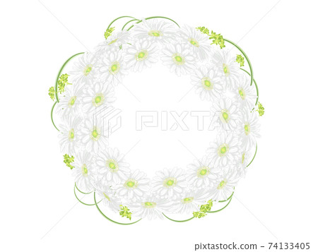 圓形框架的白色非洲菊和葉子 74133405