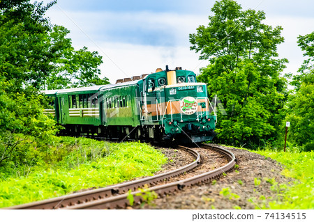 Hokkaido Kushiro Main Line (Kushiro Marsh-Toya) Norokko running on Kushiro Marsh Hokkaido Kushiro Main Line (Kushiro Marsh-Toya) Norokko running on Kushiro Marsh 74134515