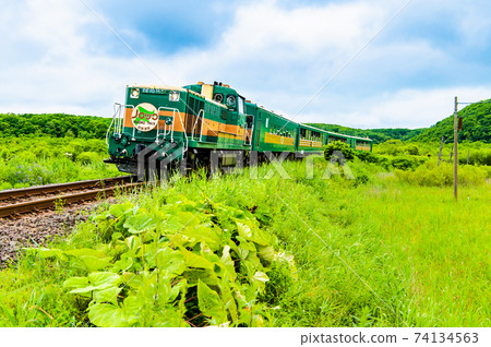 Hokkaido Kushiro Main Line (Hosooka-Toro) Norokko running on Kushiro Marsh 74134563
