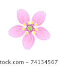 Cherry blossoms (pastel style) single flower 74134567
