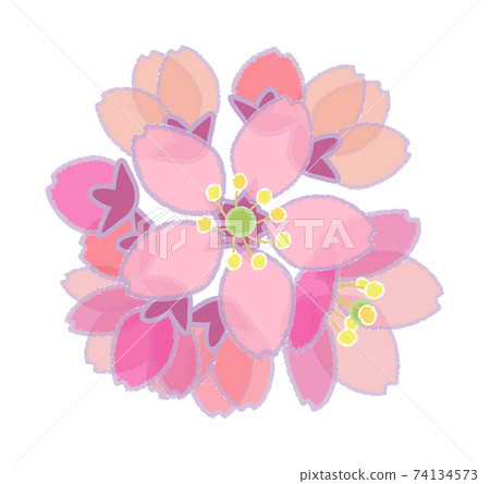 Cherry blossoms (pastel style) Temari bloom 74134573