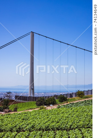 靜岡縣三島空中漫步 74134649
