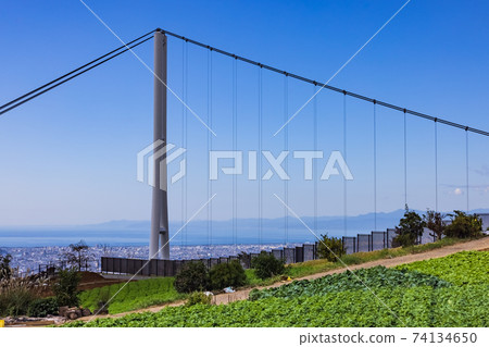靜岡縣三島空中漫步 74134650