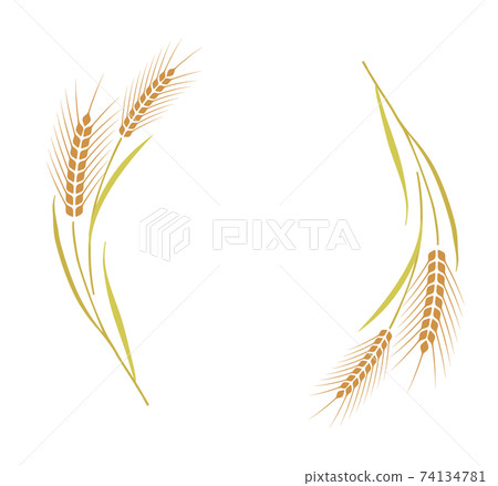 Wheat decoration frame Wheat decoration frame 74134781