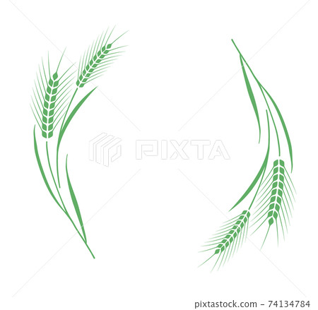 小麥裝飾框 74134784