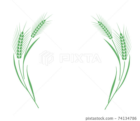 小麥裝飾框 74134786