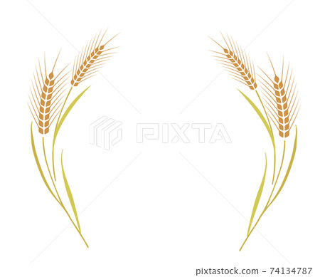 小麥裝飾框 74134787