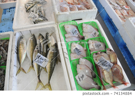 魚在海鮮市場排隊 魚在海鮮市場排隊 74134884