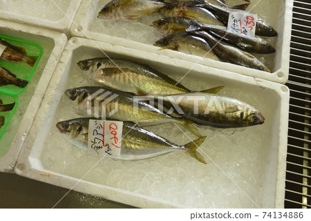 鯖魚排在海鮮市場 鯖魚排在海鮮市場 74134886