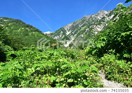 Shirouma Mountain Range: Taisetsukei and Mt. Shirouma seen from the mountain trail Shirouma Mountain Range: Taisetsukei and Mt. Shirouma seen from the mountain trail 74135035