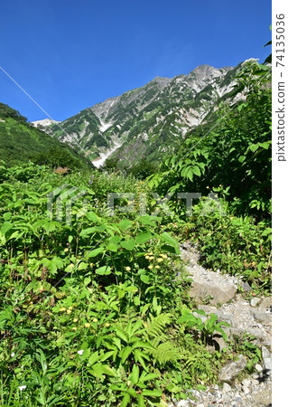 白馬山脈:從山路上看到的大雪塚和大白山 白馬山脈:從山路上看到的大雪塚和大白山 74135036