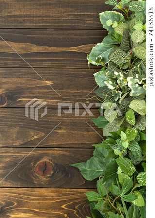 木紋和綠色 74136518