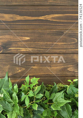 Wood grain and green Wood grain and green 74136524
