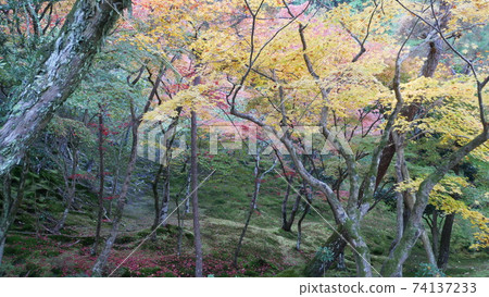 Spend a quiet time at the foot of the mountain in autumn in Kyoto Spend a quiet time at the foot of the mountain in autumn in Kyoto 74137233