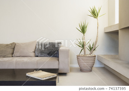 Modern living room with potted plant 74137395