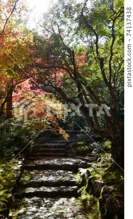 秋天的葉子和綠樹環繞著京都的秋天 74137438