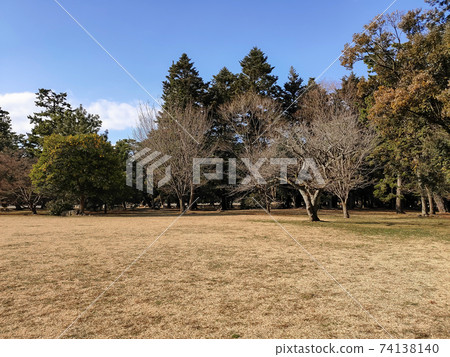 Winter park (Kyoto Imperial Palace) 74138140