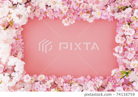 Cherry Blossoms Cherry Blossoms 74138759