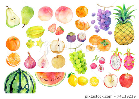 Watercolor illustration fruit fruit 74139239