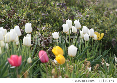 In the hands of the citizens In the hands of the citizens 74140475