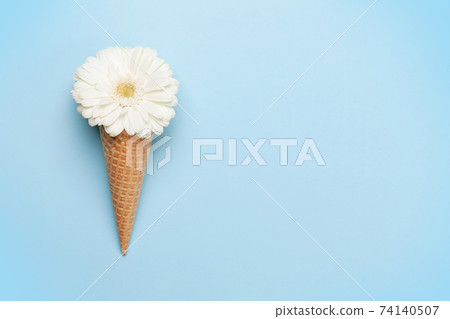 White gerbera flower in ice cream waffle cone White gerbera flower in ice cream waffle cone 74140507