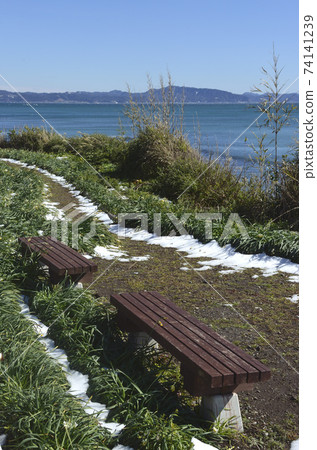 Snowy coast 74141239