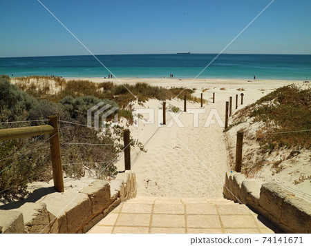 珀斯Cottesloe海灘海岸 珀斯Cottesloe海灘海岸 74141671