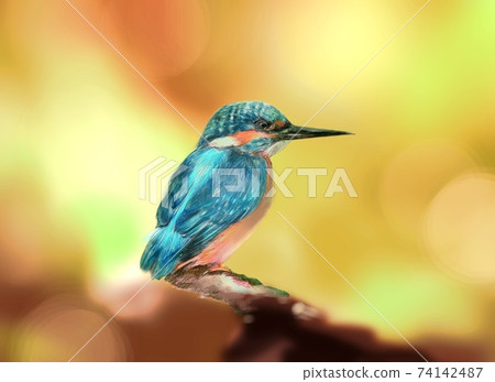 Beautiful kingfisher and forest background with blue jewel-like wings Beautiful kingfisher and forest background with blue jewel-like wings 74142487