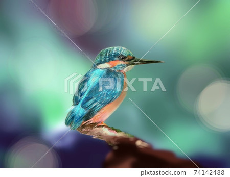 Beautiful kingfisher and forest background with blue jewel-like wings 74142488